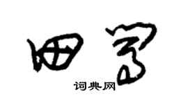 朱錫榮田闖草書個性簽名怎么寫