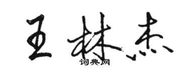 駱恆光王林傑行書個性簽名怎么寫