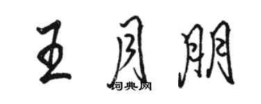 駱恆光王月朋行書個性簽名怎么寫