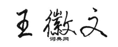 駱恆光王徽文行書個性簽名怎么寫