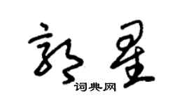 朱錫榮郭星草書個性簽名怎么寫