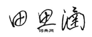 駱恆光田思涵草書個性簽名怎么寫