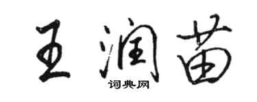 駱恆光王潤苗行書個性簽名怎么寫