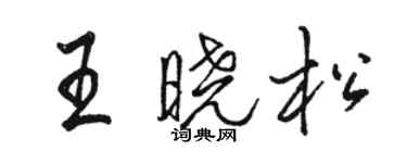 駱恆光王曉松行書個性簽名怎么寫
