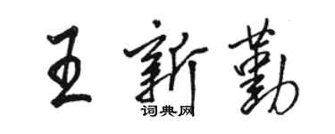 駱恆光王新勤行書個性簽名怎么寫