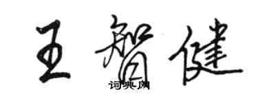 駱恆光王智健行書個性簽名怎么寫