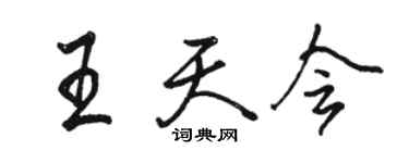 駱恆光王天會行書個性簽名怎么寫