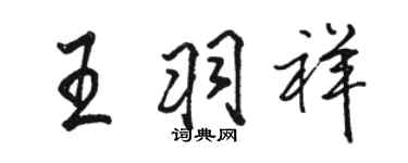 駱恆光王羽祥行書個性簽名怎么寫