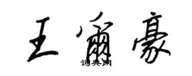 王正良王爾豪行書個性簽名怎么寫