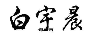 胡問遂白宇晨行書個性簽名怎么寫