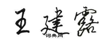 駱恆光王建露行書個性簽名怎么寫