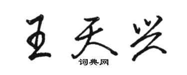 駱恆光王天興行書個性簽名怎么寫