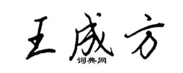 王正良王成方行書個性簽名怎么寫