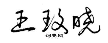 曾慶福王玫曉草書個性簽名怎么寫