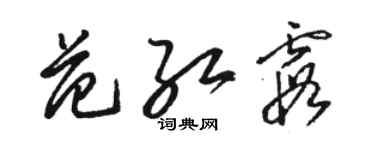 駱恆光范紅霞草書個性簽名怎么寫