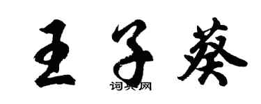 胡問遂王子葵行書個性簽名怎么寫