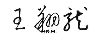 駱恆光王翔龍草書個性簽名怎么寫