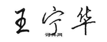 駱恆光王寧華行書個性簽名怎么寫