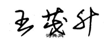 朱錫榮王茂升草書個性簽名怎么寫