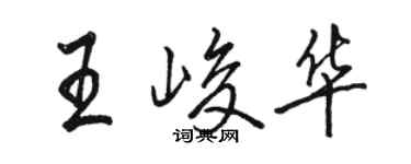 駱恆光王峻華行書個性簽名怎么寫