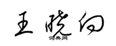 梁錦英王曉向草書個性簽名怎么寫