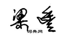 朱錫榮梁豐草書個性簽名怎么寫