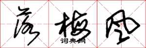 朱錫榮落梅風草書怎么寫