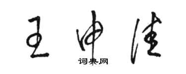 駱恆光王申佳草書個性簽名怎么寫