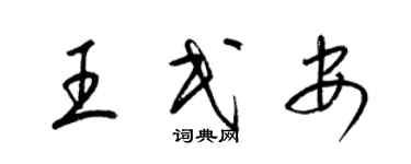 梁錦英王民安草書個性簽名怎么寫