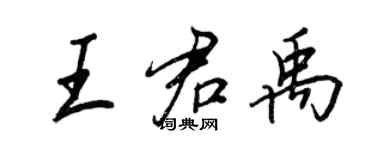 王正良王君禹行書個性簽名怎么寫