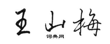 駱恆光王山梅行書個性簽名怎么寫