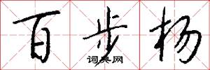百步楊怎么寫好看