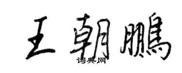 王正良王朝鵬行書個性簽名怎么寫