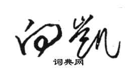 駱恆光向凱草書個性簽名怎么寫