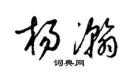 梁錦英楊瀚草書個性簽名怎么寫