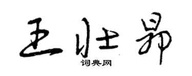 曾慶福王壯昂草書個性簽名怎么寫
