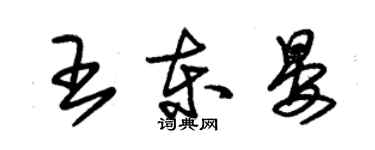 朱錫榮王東晏草書個性簽名怎么寫