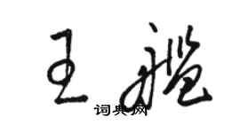 駱恆光王艦草書個性簽名怎么寫