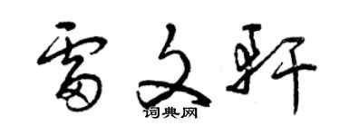 曾慶福雷文軒草書個性簽名怎么寫