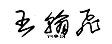 朱錫榮王翰飛草書個性簽名怎么寫
