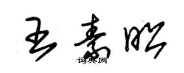 朱錫榮王素昭草書個性簽名怎么寫