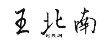 駱恆光王北南行書個性簽名怎么寫
