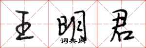 段相林王明君行書怎么寫