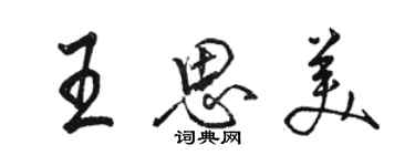 駱恆光王思美行書個性簽名怎么寫