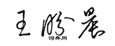 駱恆光王盼晨草書個性簽名怎么寫