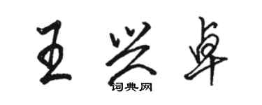 駱恆光王興卓行書個性簽名怎么寫