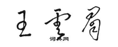 駱恆光王雲眉草書個性簽名怎么寫