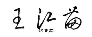 駱恆光王江苗草書個性簽名怎么寫