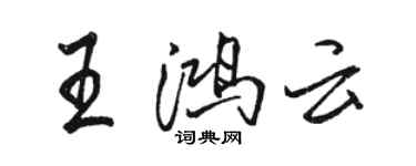 駱恆光王鴻雲行書個性簽名怎么寫