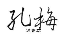 駱恆光孔梅行書個性簽名怎么寫